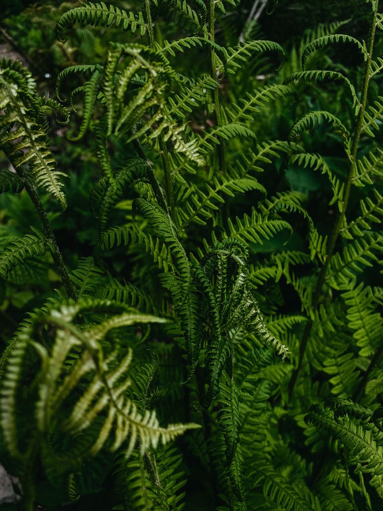 Фотография автора Oxana Yurasova