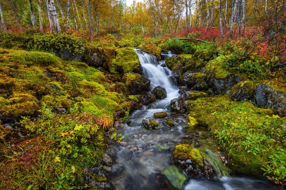 Photograph by Артем Ильин