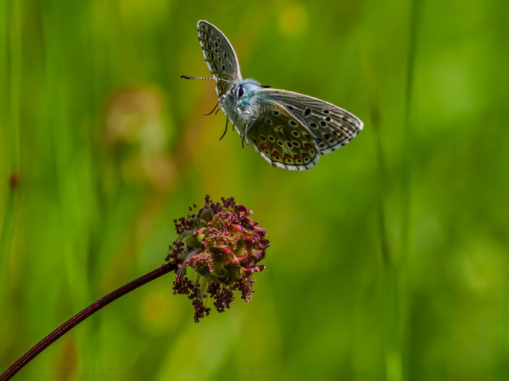 Фотография автора Jesse Cason