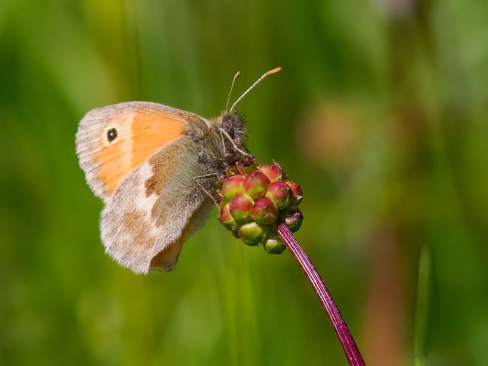 Photograph by Jesse Cason