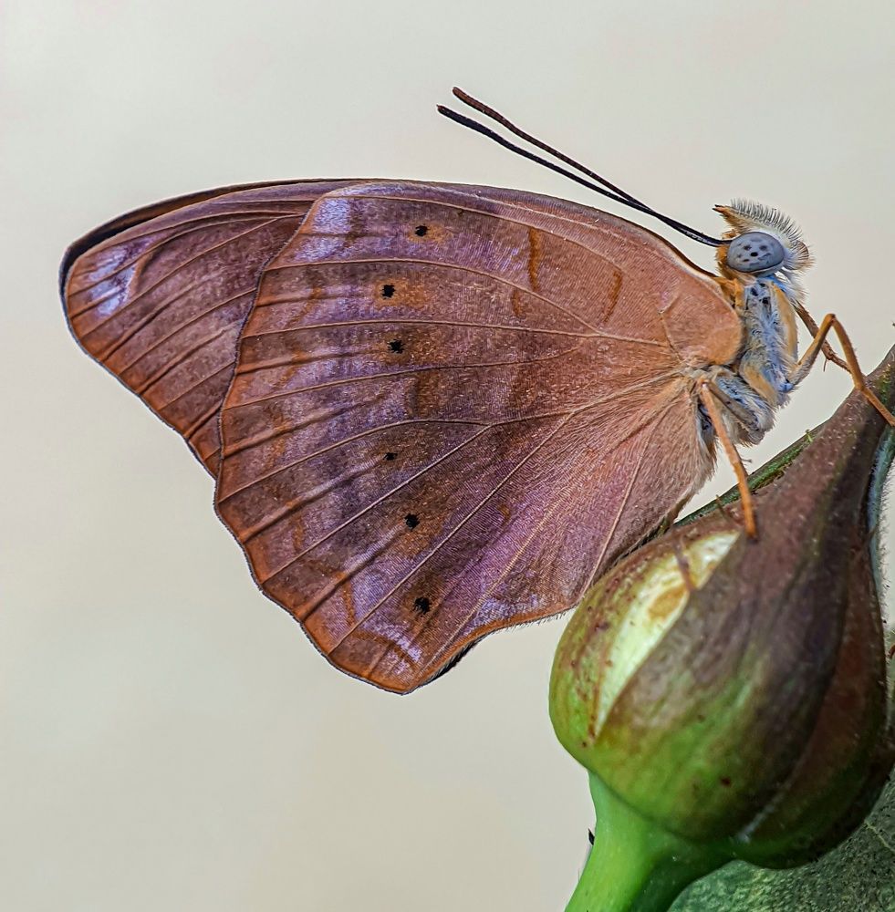 Photograph by sunil kumbar