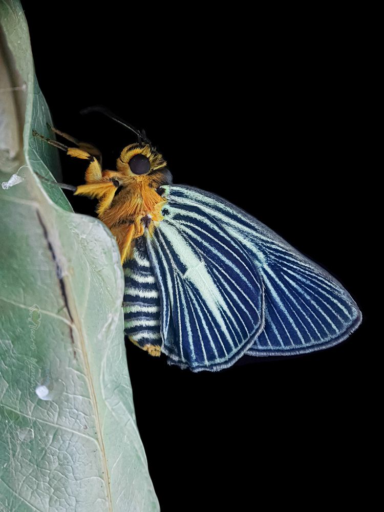 Photograph by sunil kumbar