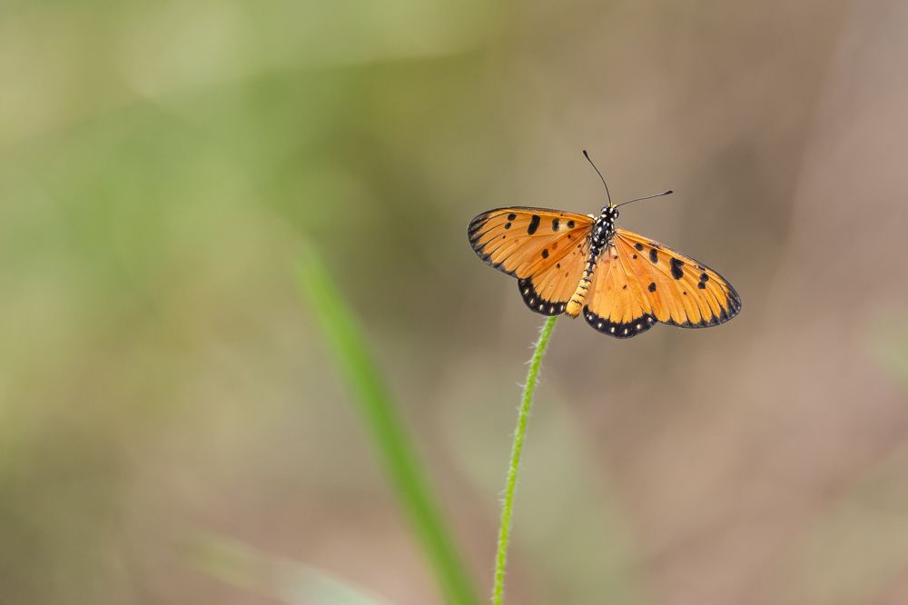 Photograph by James Teoh