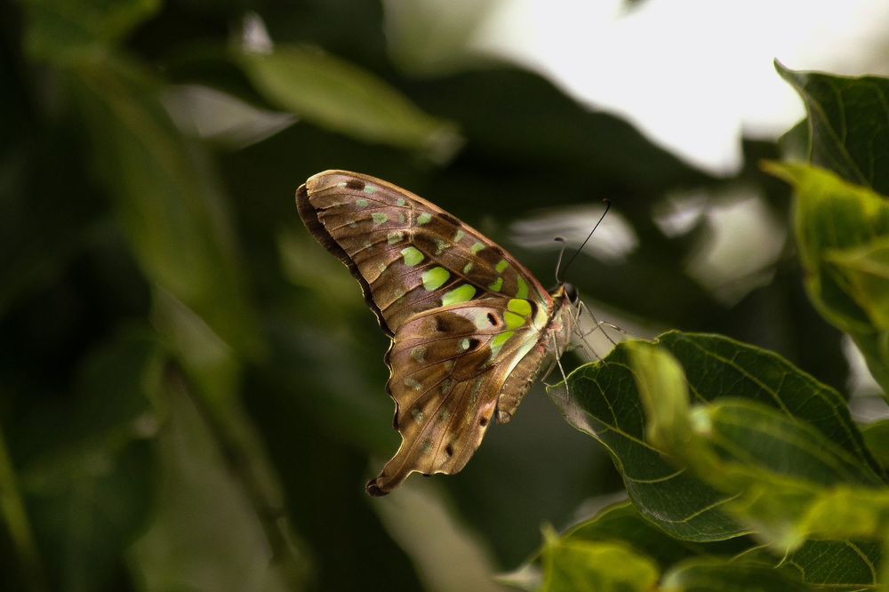 Photograph by anvita trivedi