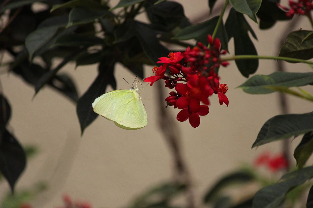 Photograph by anvita trivedi