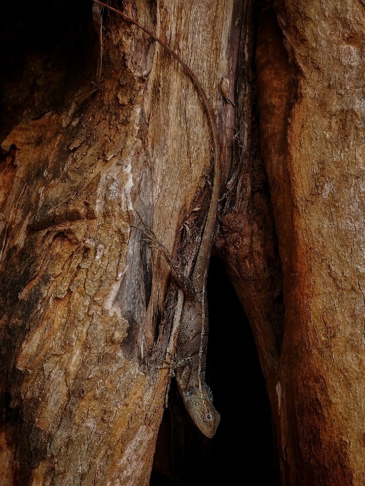 Photograph by Sritam Kumar Sethy