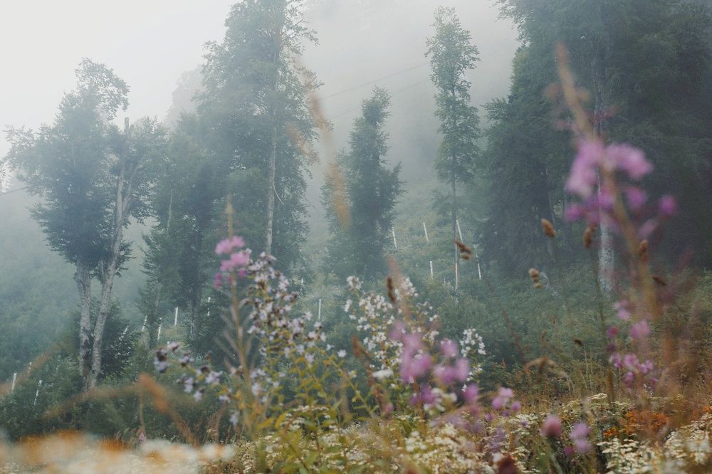 Photograph by Софья Никулина