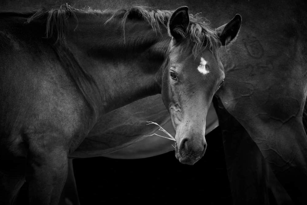 Photograph by Thomas Marx