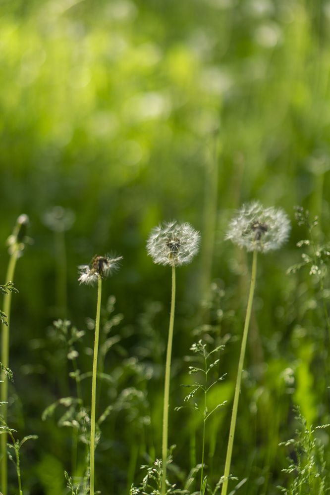 Photograph by Жанна