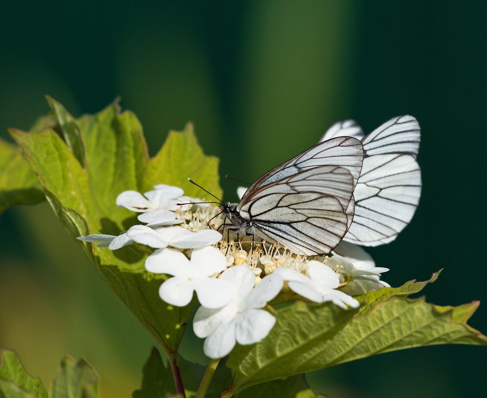 Photograph by Алексей Хазов