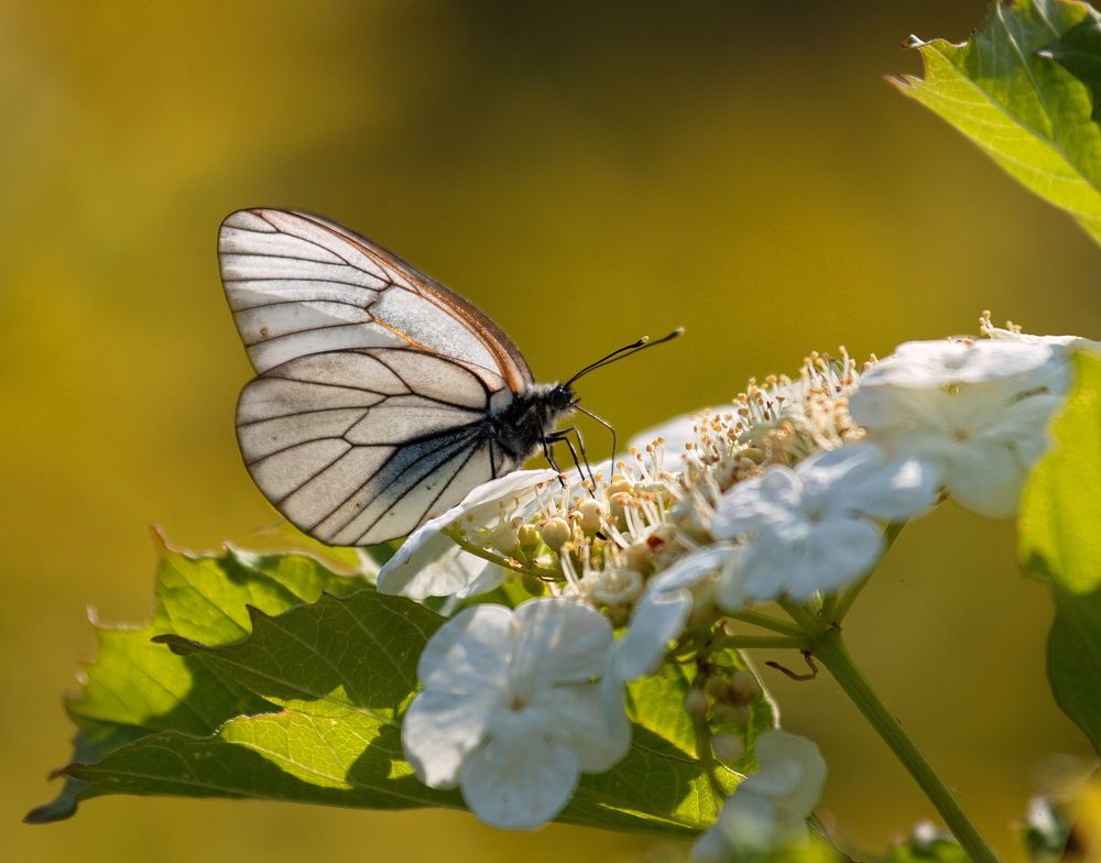 Photograph by Алексей Хазов