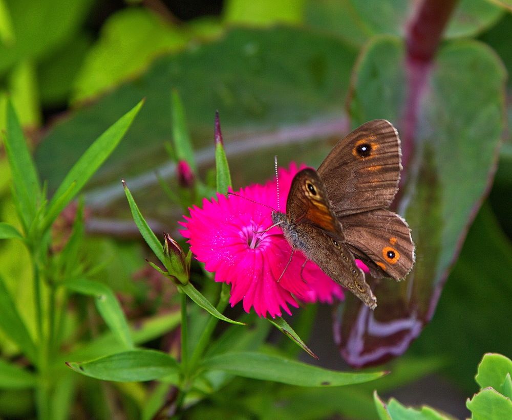 Photograph by Алексей Хазов