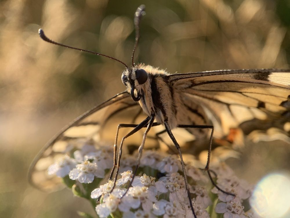 Photograph by Татьяна Гринько