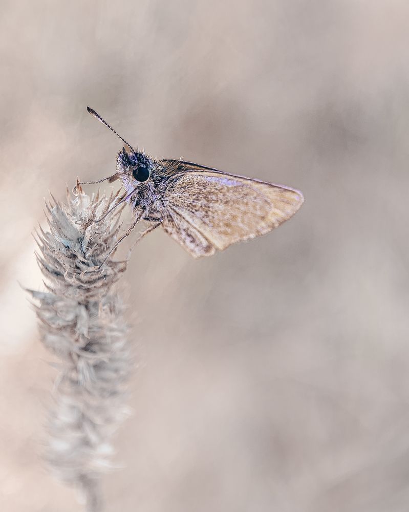 Photograph by T.Ю. Гринько