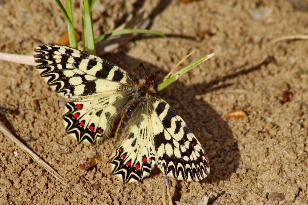 Photograph by Николай Николаевич Леухин