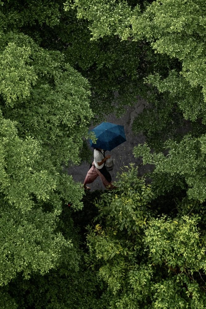 Photograph by Krid Karnsomdee