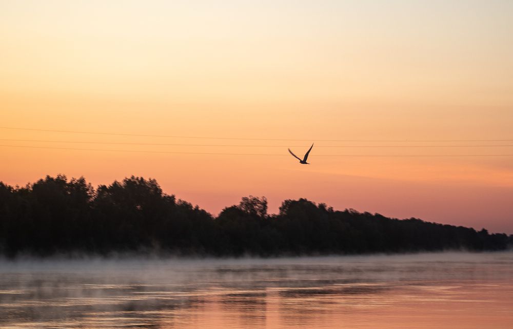 Photograph by Ирина Саломатина