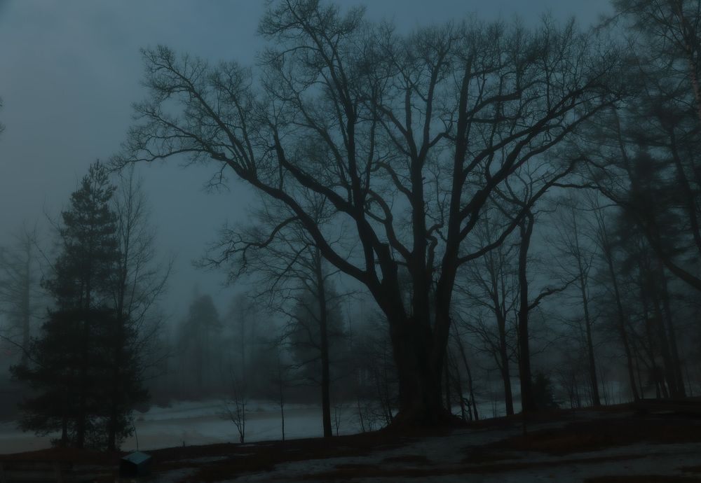 Photograph by Василий Голод