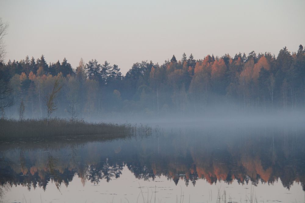 Фотография автора Анастасия Зверева