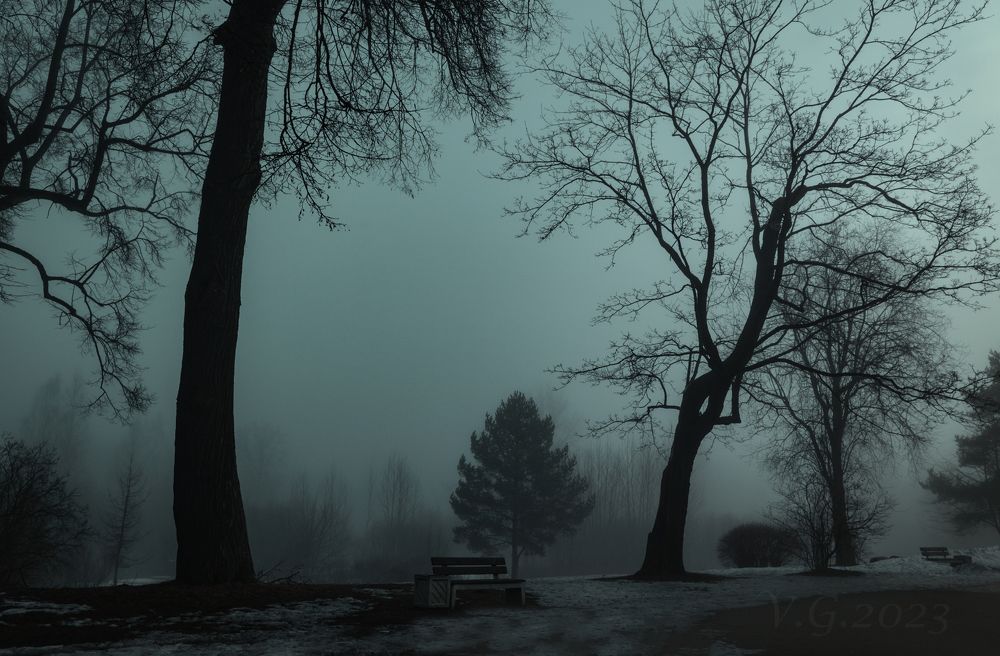 Photograph by Василий Голод