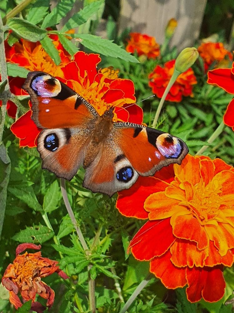 Photograph by Ольга