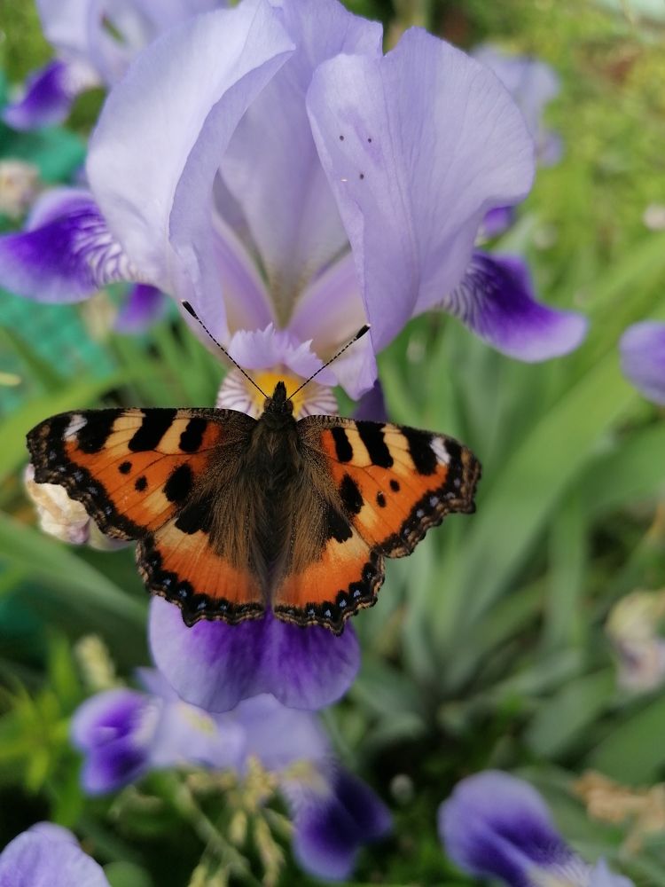 Photograph by Екатерина Супраненок