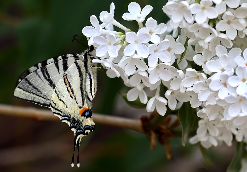 Photograph by Андрей Стародубцев