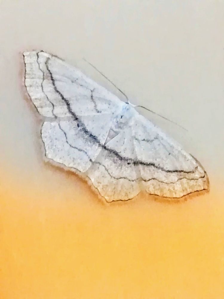 Photograph by Anila Ismailaj