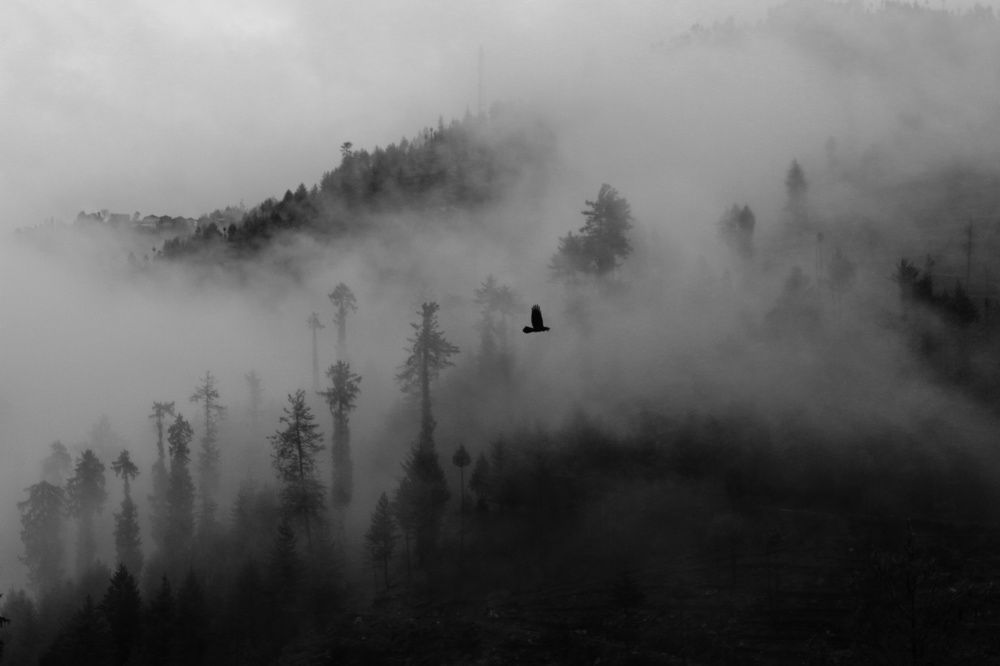 Photograph by Aastha Vyas