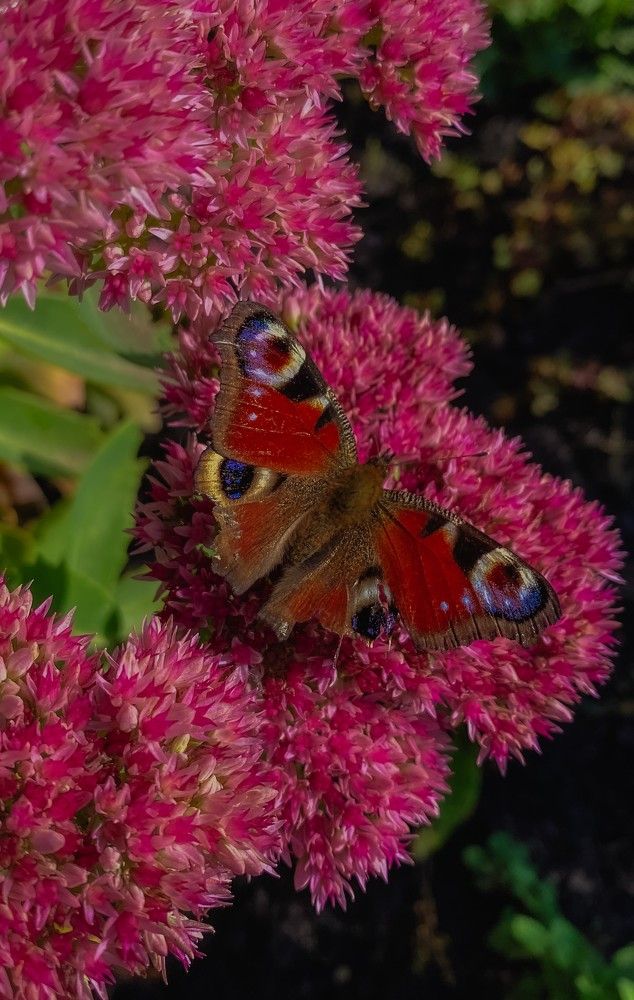 Photograph by Lyubov