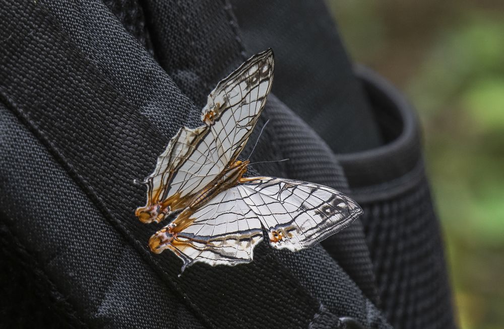 Photograph by Souvick Mukherjee