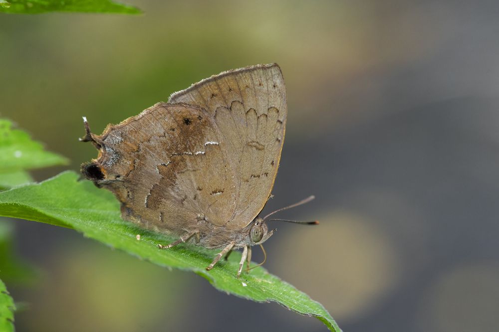 Photograph by Souvick Mukherjee