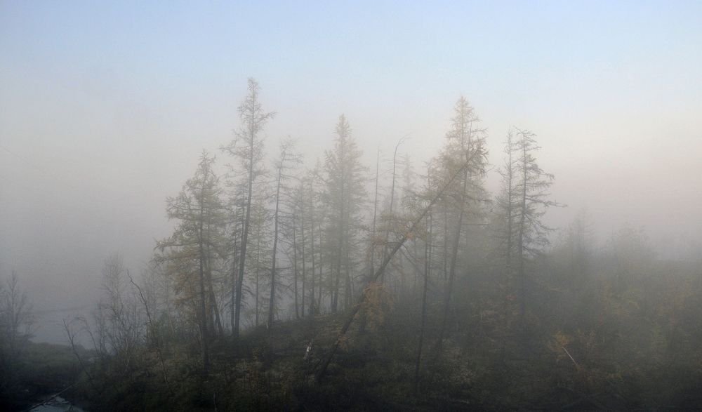 Photograph by Владимир