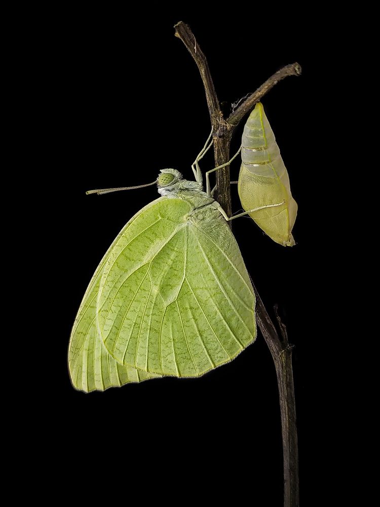 Photograph by Akash Pani