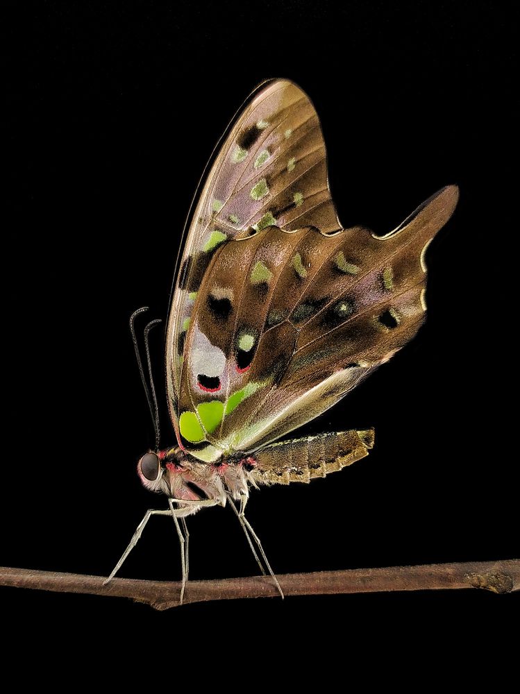 Photograph by Akash Pani