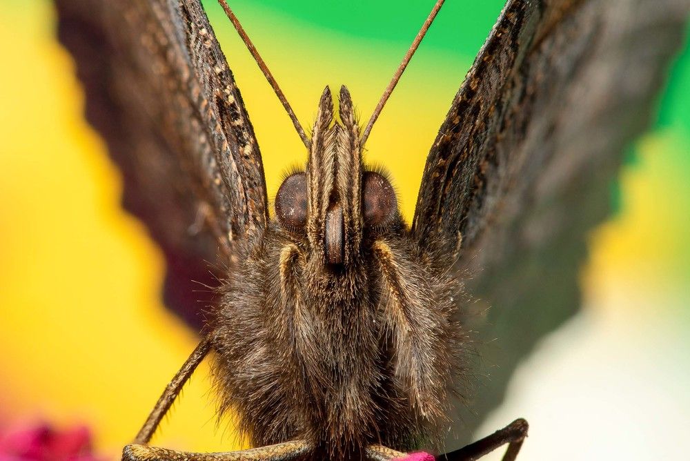 Photograph by Сергей Беляевский