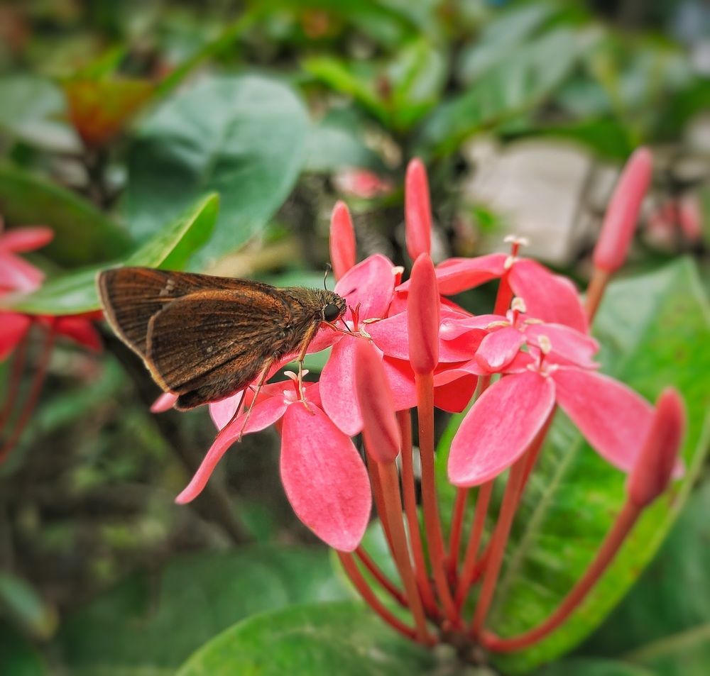 Фотография автора Pavitra Shettigar