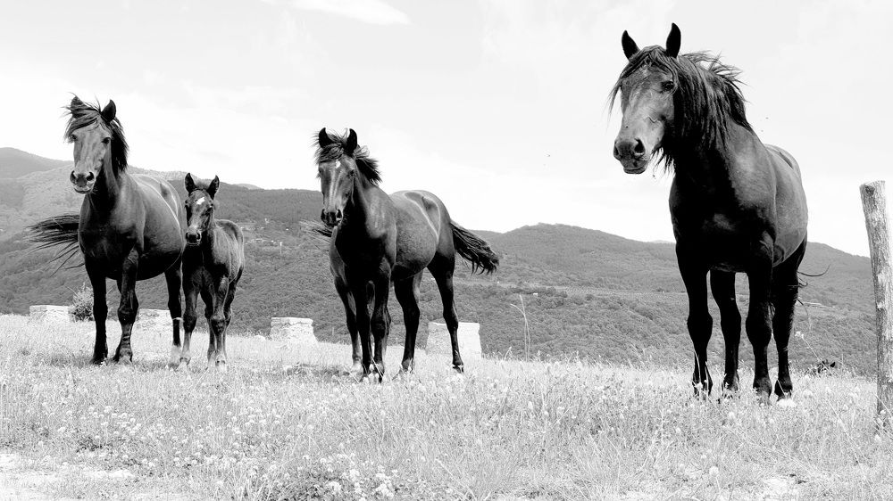 Photograph by Viktorova