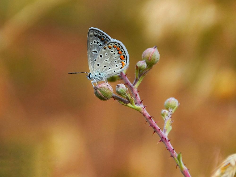 Photograph by seyyed mohammad andy