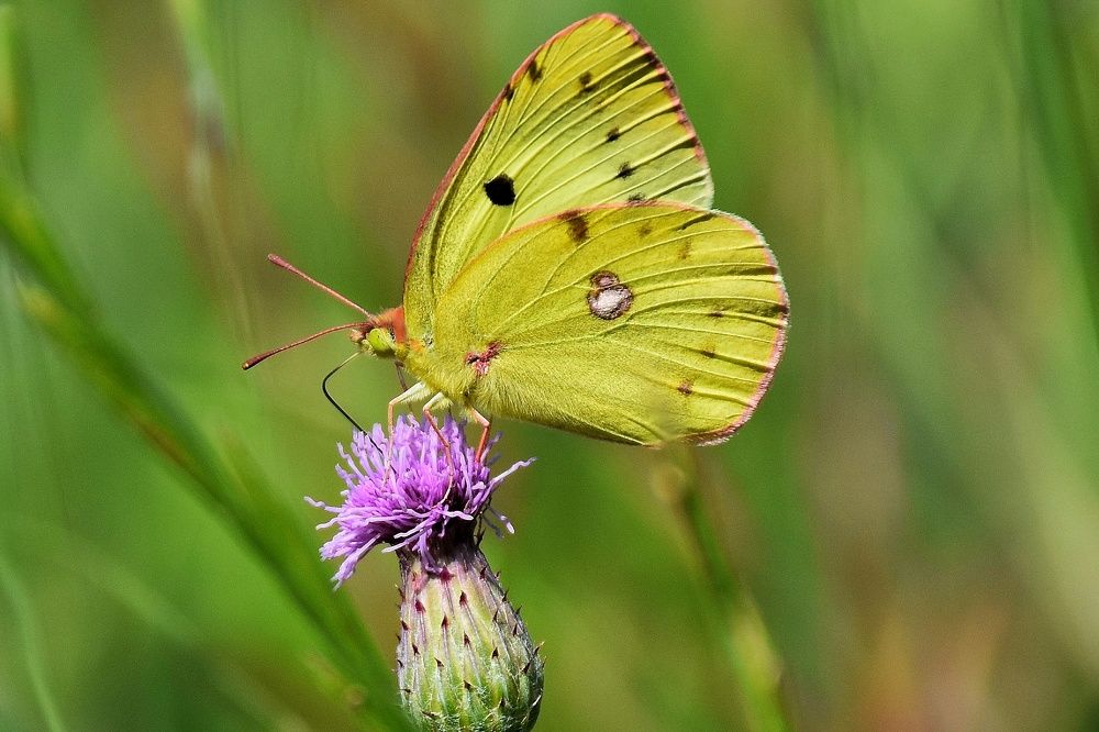 Photograph by seyyed mohammad andy