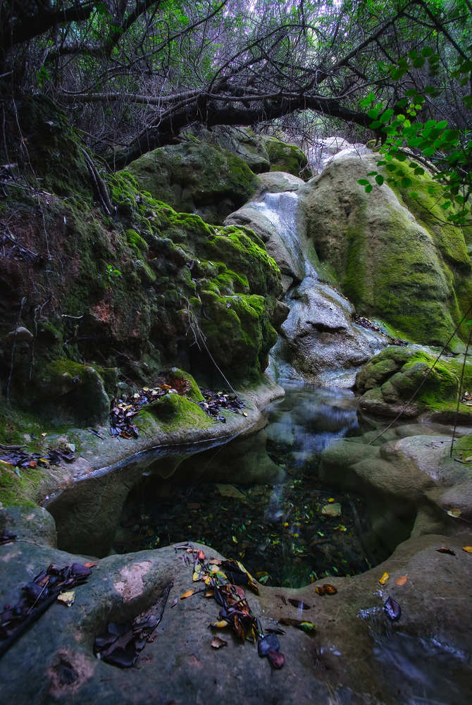 Photograph by Antonio Marquez Lanza