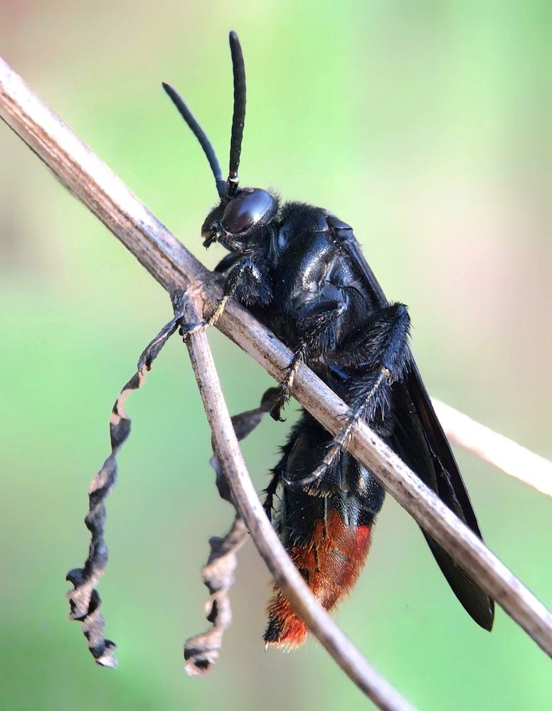 Photograph by Tania Herdianti