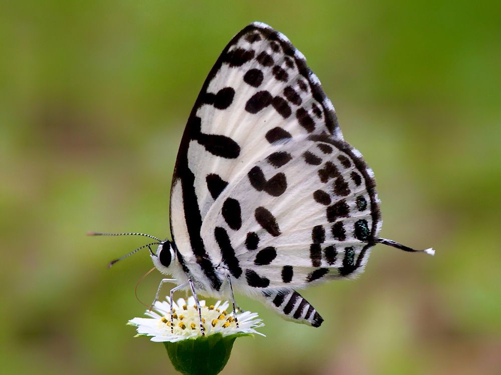 Photograph by Tania Herdianti