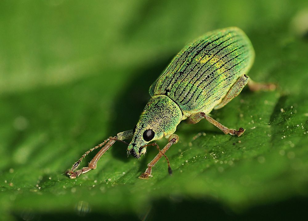 Photograph by Ирина Протченко