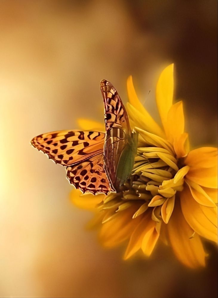 Photograph by Edi Hidayat