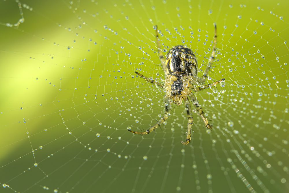 Photograph by Юрий Чернов