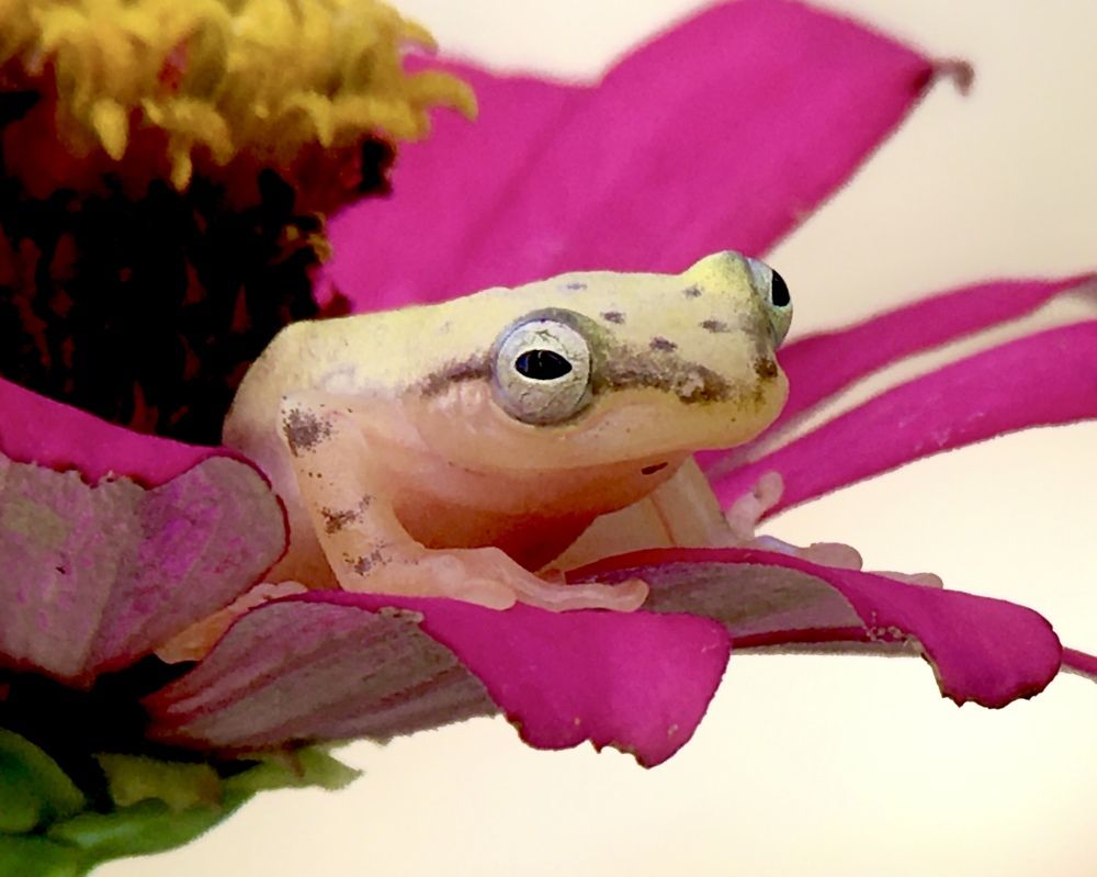 Photograph by Tania Herdianti