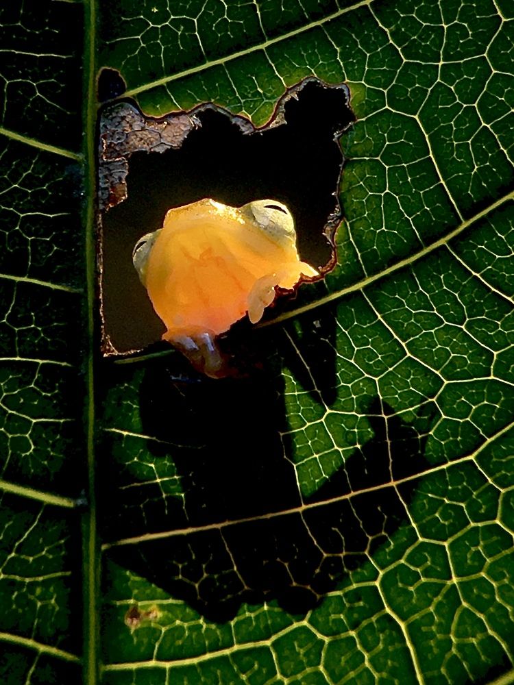 Photograph by Tania Herdianti