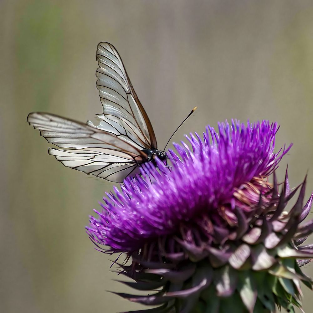 Photograph by Юрий Чернов