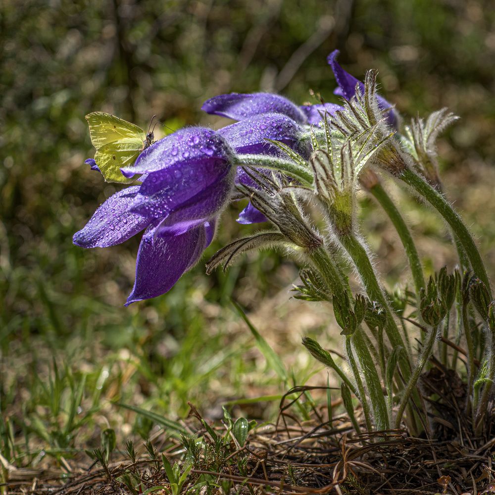 Photograph by Юрий Чернов